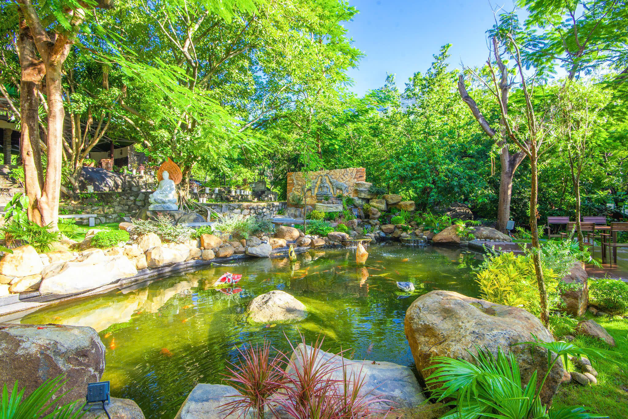 Koi pond and rock garden