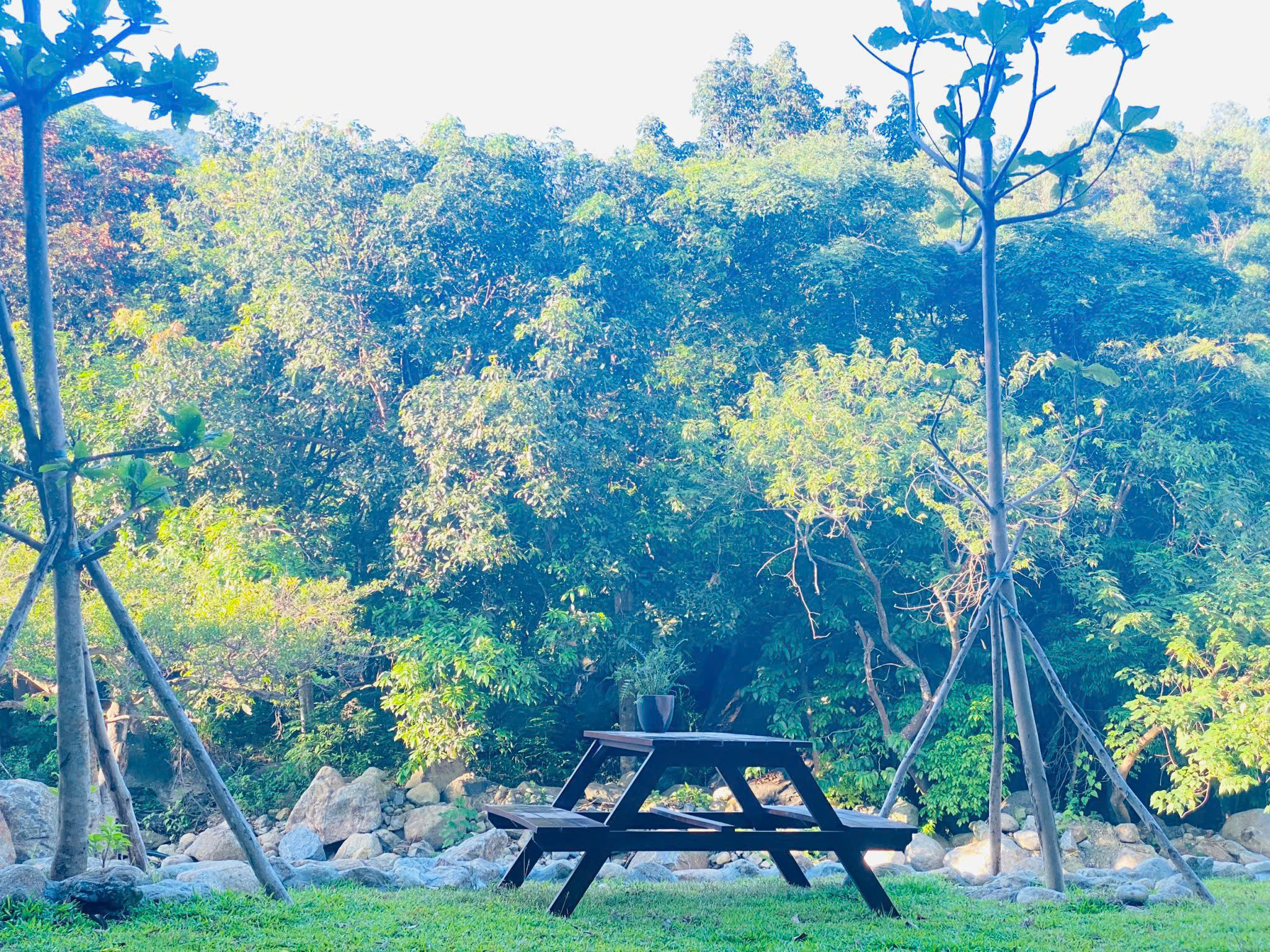 Picnic table by the forest